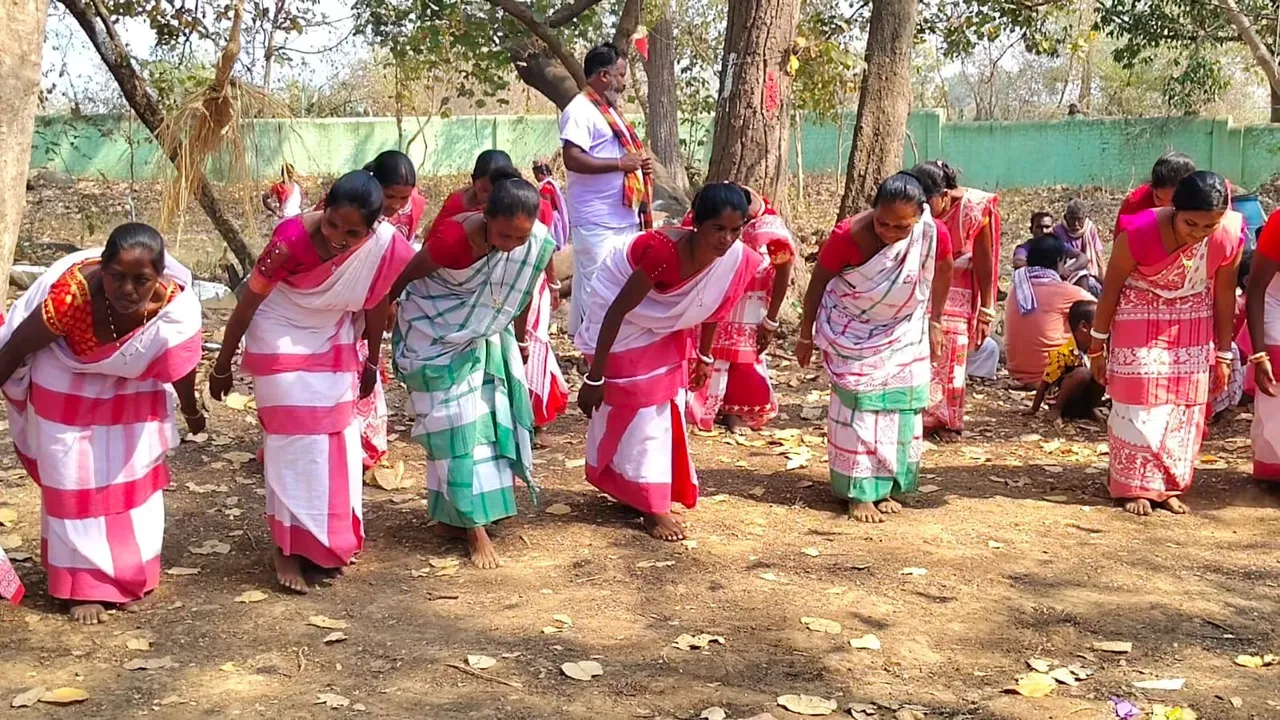  Festival: ଆଦିବାସୀଙ୍କ ‘ବାହା ପର୍ବ’