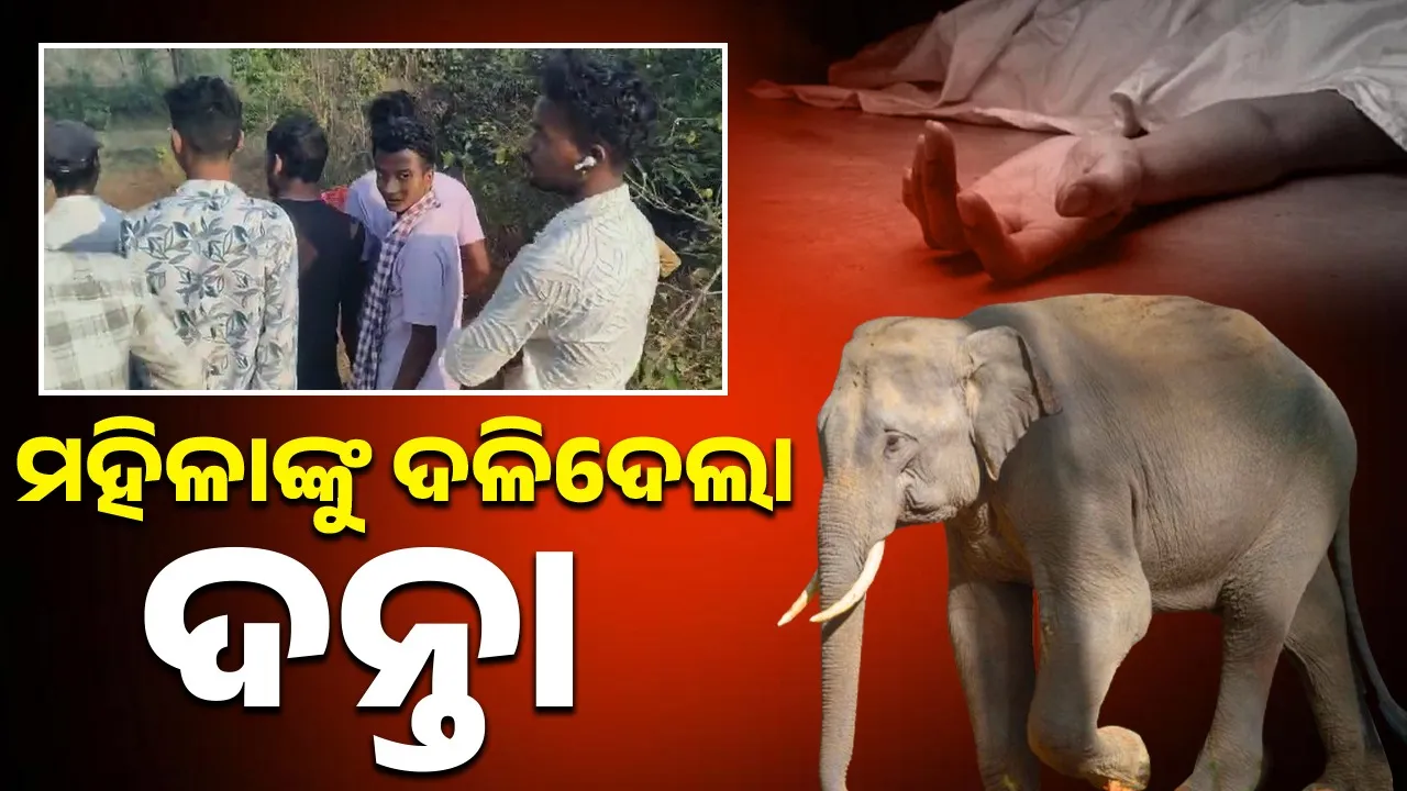  Woman dies by attack of elephant Photograph: (sambad.in) 