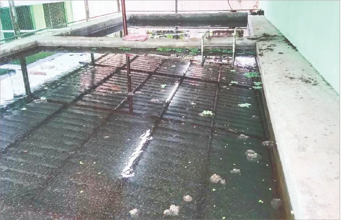  Puri: ଦାଉ ସାଧିଲେଣି ମଶା: ଗମ୍ବୁସିଆ ମାଛ ମଶା ନିୟନ୍ତ୍ରଣ ଅଭିଯାନ ବିଫଳ