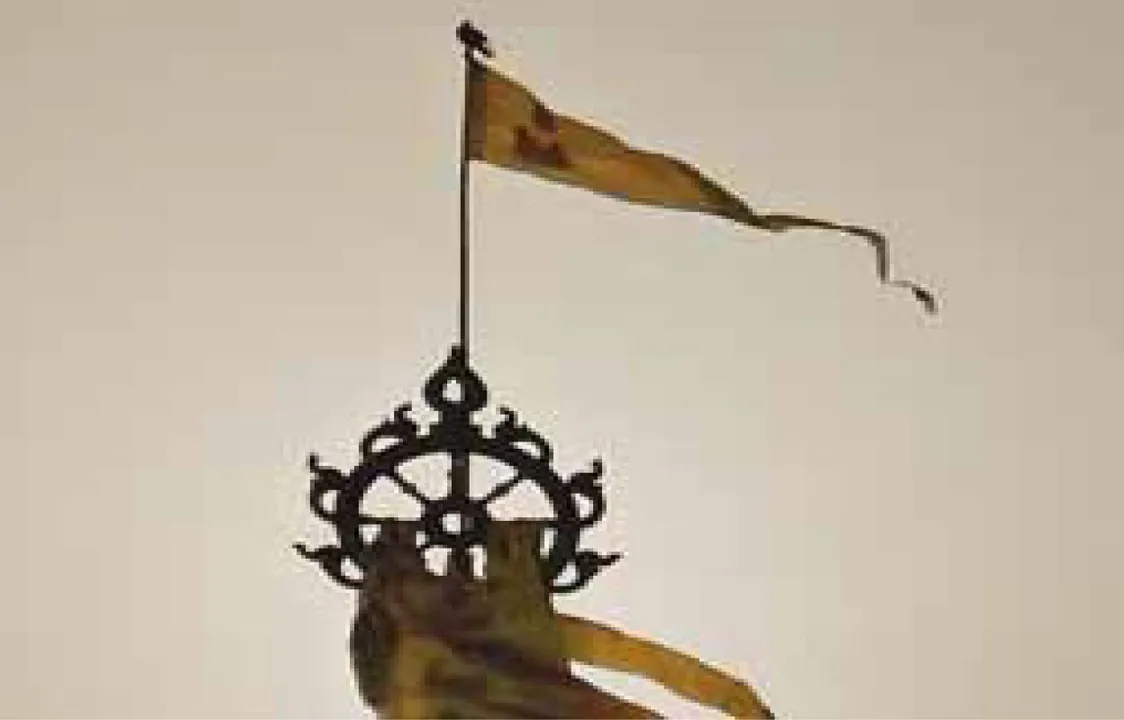  Jagannath temple: ପତିତପାବନ ବାନା ଉପରେ ବସିଲା ଚିଲ