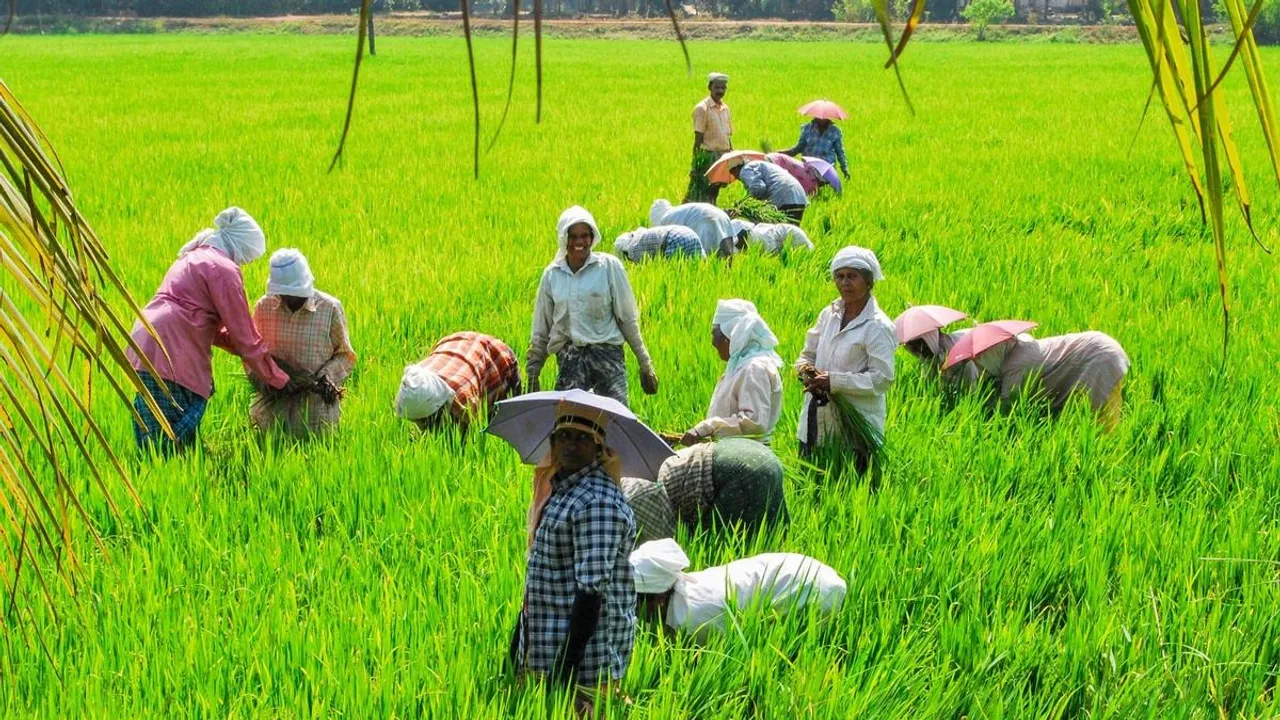  SARA IMAGE Photograph: (sambad.in) 