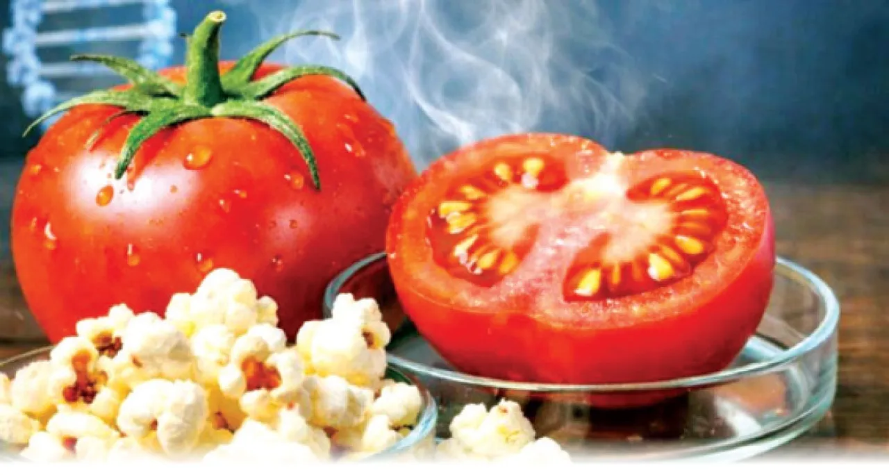  Popcorn: କିମାଶ୍ଚର୍ଯ୍ୟମ୍‌: ଟମାଟୋରୁ ପପ୍‌କର୍ଣ୍ଣର ବାସ୍ନା