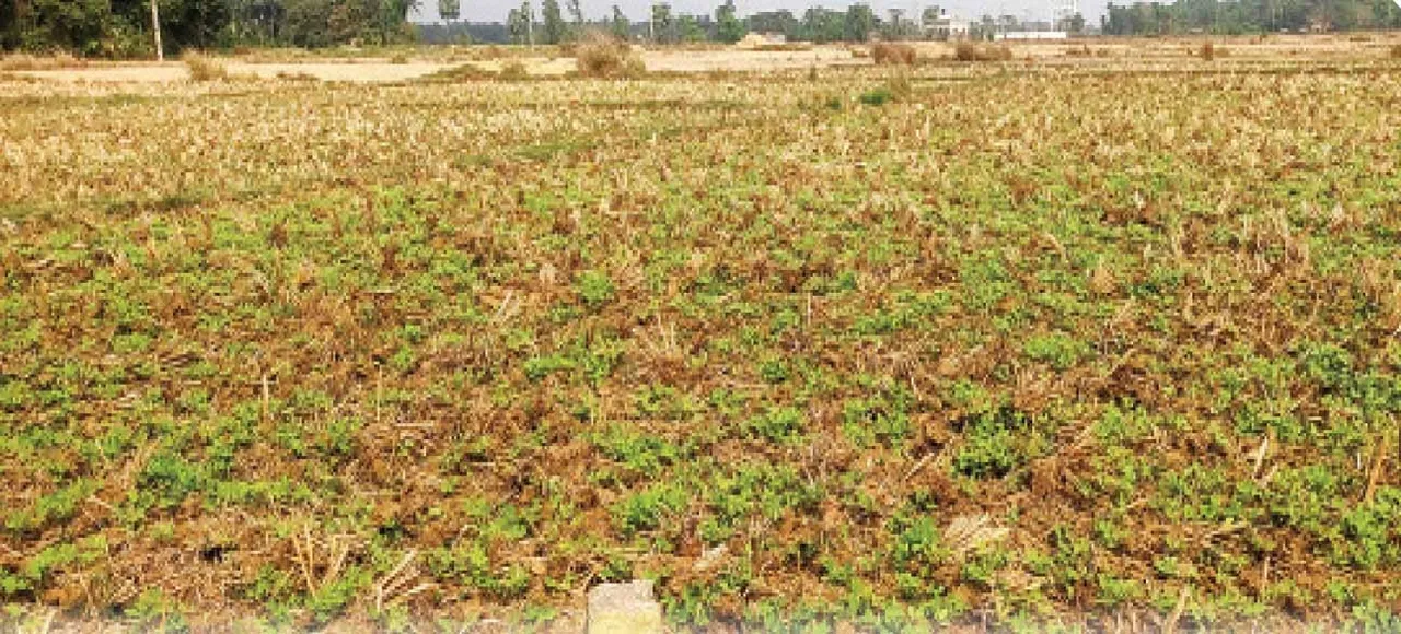  Bharatmala project: ଆଶଙ୍କାରେ ବହୁ ପ୍ରତୀକ୍ଷିତ ଭାରତମାଳା ପ୍ରକଳ୍ପ