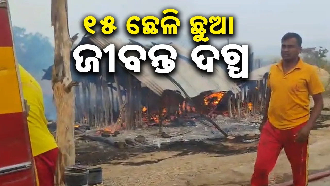  15 goats burnt at bhanjanagar Photograph: (Sambad.in) 