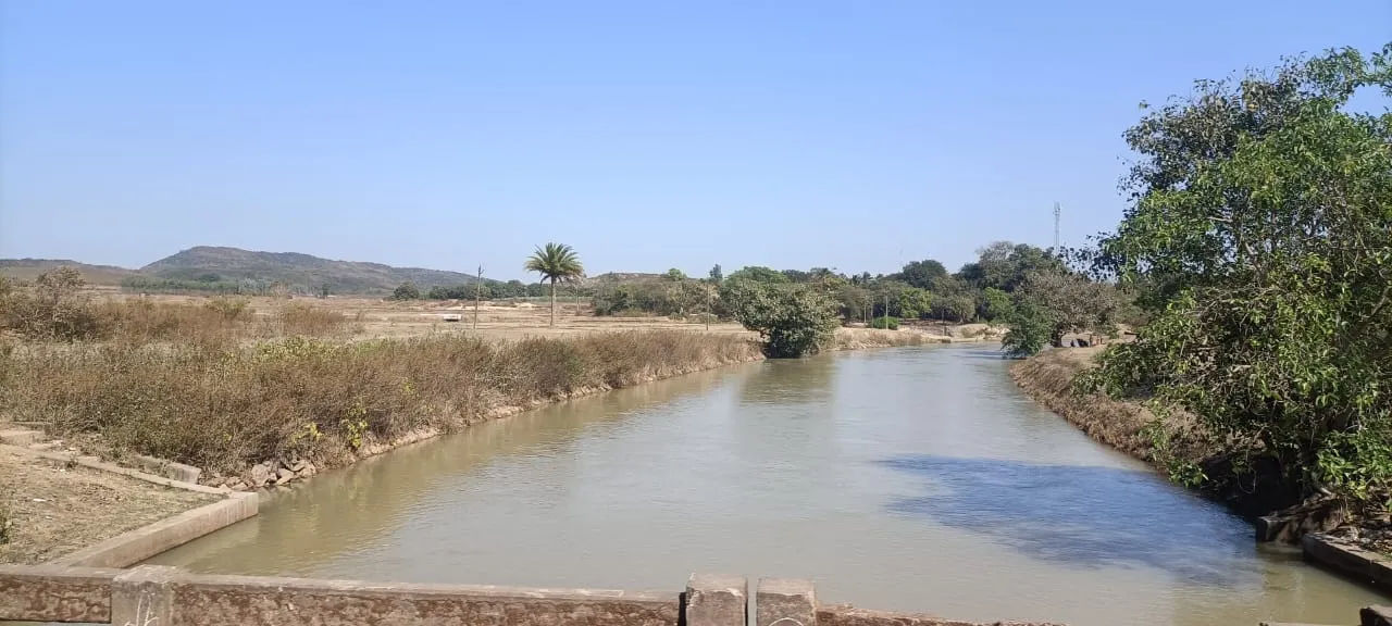  ଚାଷ ପାଇଁ ଜଳସେଚନ ବ୍ୟବସ୍ଥା ସ୍ଥିତି ସଂଗୀନ: କେନାଲ ପାଣି ଦୟାରେ ଚାରି ବ୍ଲକ