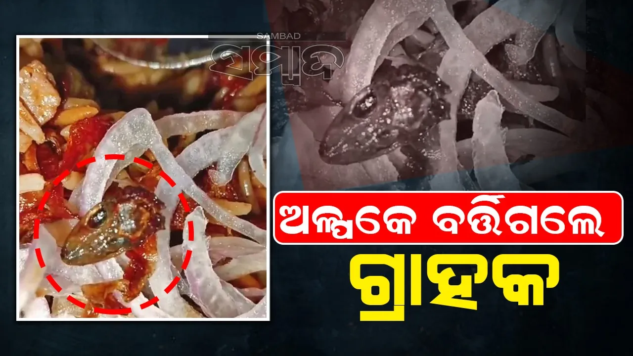  ଭେଜ ବିରିୟାନି ପ୍ୟାକେଟରୁ ବାହାରିଲା ମଲା ଝିଟିପିଟି