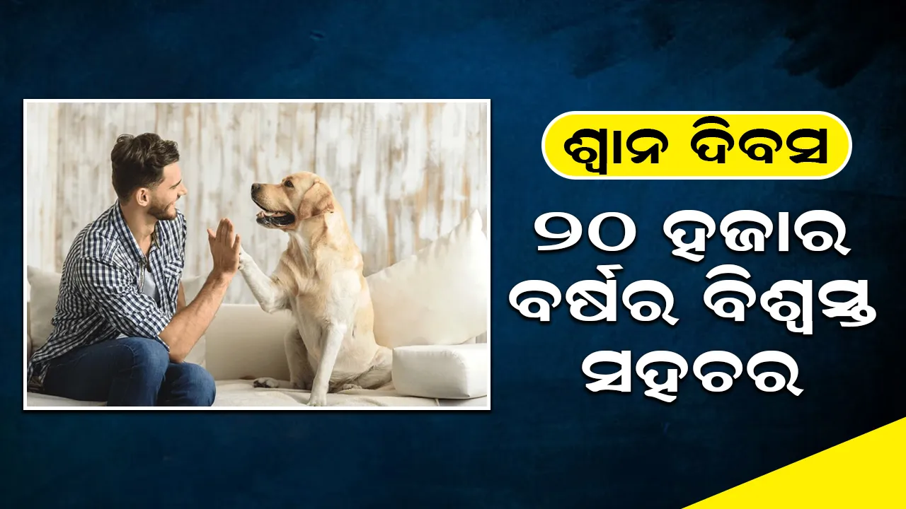  ଶ୍ବାନ ଦିବସ: ୨୦ ହଜାର ବର୍ଷର  ବିଶ୍ବସ୍ତ ସହଚର