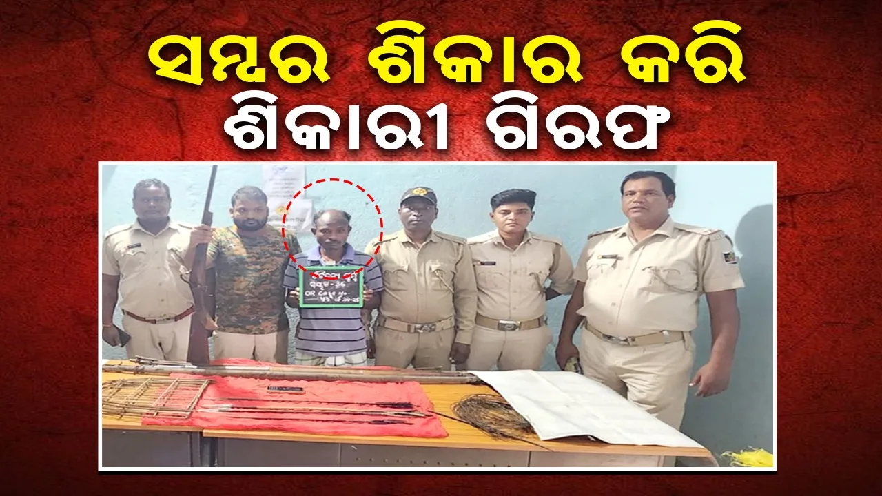  ବିକ୍ରି ପୂର୍ବରୁ ଶିକାରୀ ଠାରୁ ୨୫କିଲୋ ସମ୍ବର ମାଂସ ଜବତ