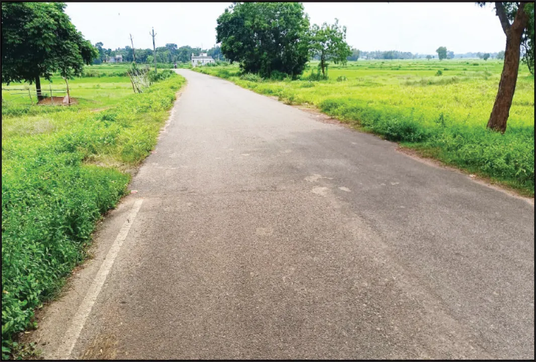  ରାସ୍ତାରୁ ହଜିଗଲା ଛଅ ହଜାର ଗଛର ଚିହ୍ନବର୍ଣ୍ଣ