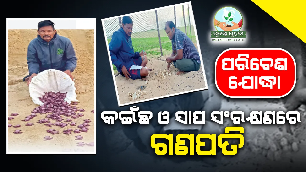  ପରିବେଶ ଯୋଦ୍ଧା: କଇଁଛ ଓ ସାପ ସଂରକ୍ଷଣରେ ଗଣପତି