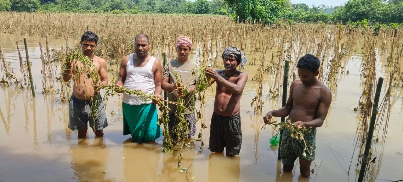  ଚାଷୀମାନଙ୍କର ଯାହା ଅଧିକାର ସେମାନେ ନିଶ୍ଚିତ ପାଇବେ: କୃଷି ମନ୍ତ୍ରୀ