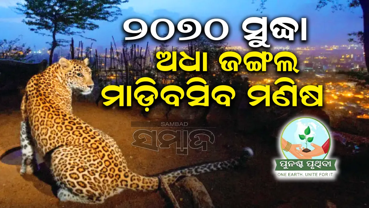  ୨୦୭୦ ସୁଦ୍ଧା ଅଧା ଜଙ୍ଗଲ ମାଡ଼ିବସିବ ମଣିଷ