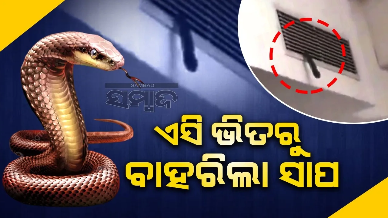  ପାଠପଢ଼ା ଚାଲୁଥିବା ବେଳେ ଏସି ଭିତରୁ ବାହାରିଲା ସାପ, ଭାଇରାଲ ହେଲା ଭିଡିଓ