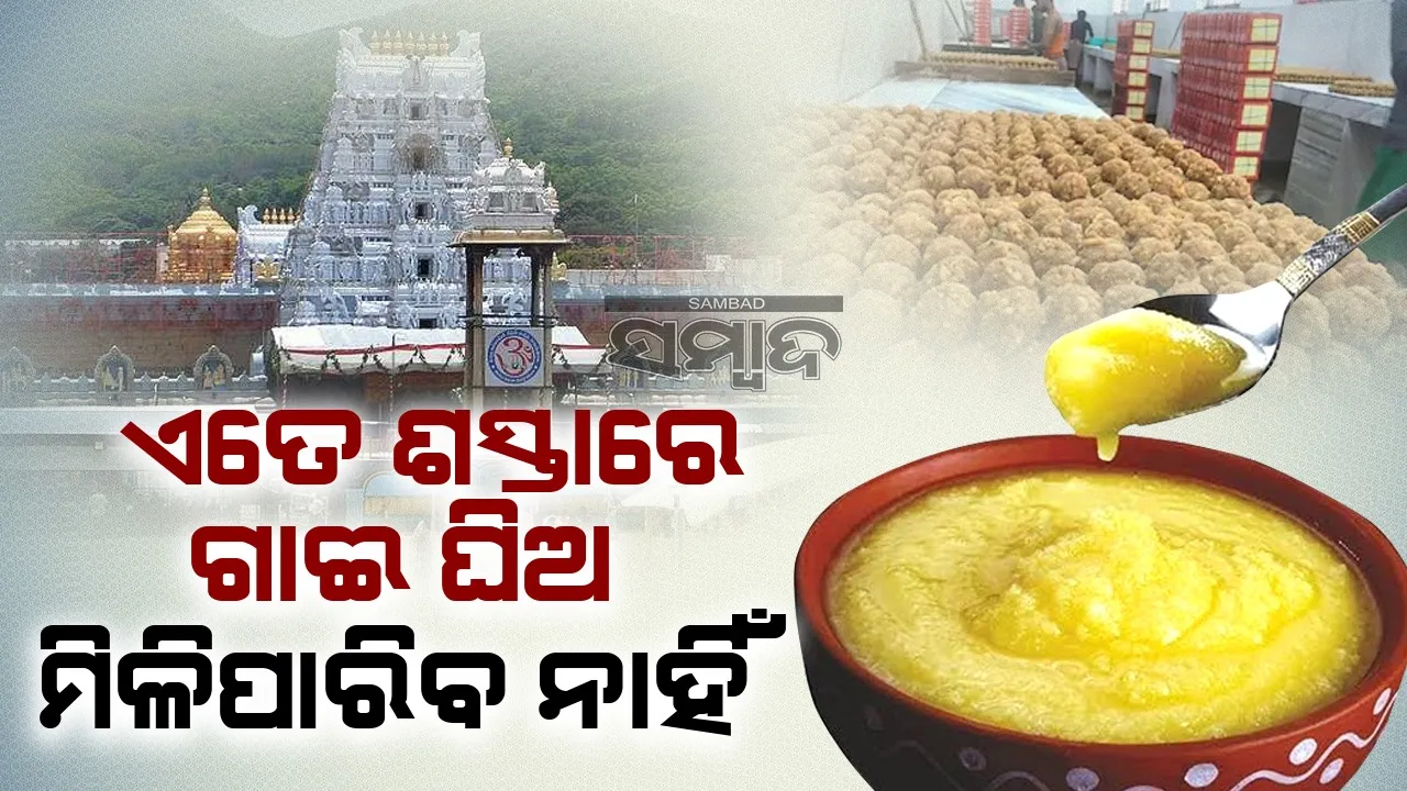  ଏତେ ଶସ୍ତାରେ ଗାଈ ଘିଅ ମିଳିପାରିବ ନାହିଁ : ଟିଟିଡି ଅଧିକାରୀ