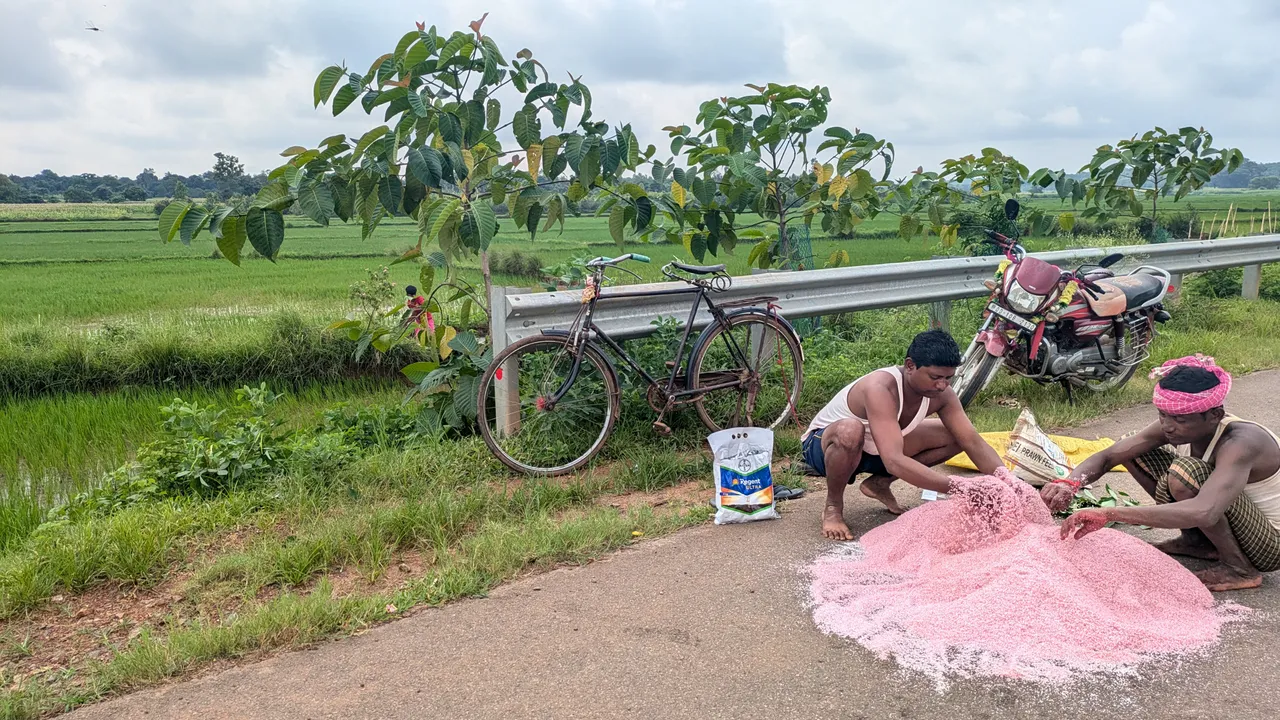  Photo: Suresh Naidu, Jyepore 