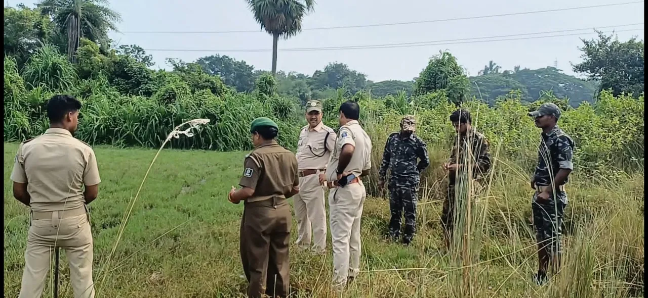  ବାଘ ଆତଙ୍କ! ଆଳିରେ ପହଞ୍ଚିଲେ ବନବିଭାଗ ଅଧିକାରୀ