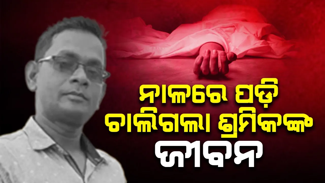  କିଙ୍ଗୋଳ: ମାଟି ଖୋଳି ନେଲା ଠିକାଦାର, ବୁଡ଼ି ମଲା ଶ୍ରମିକ