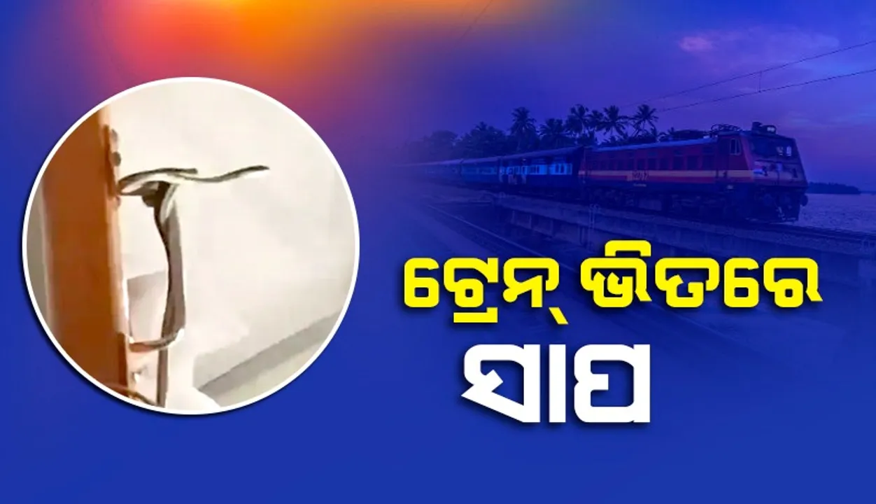  ଟ୍ରେନ୍‌ ଭିତରେ ସାପ; ଯାତ୍ରୀଙ୍କ ଭିତରେ ଖେଳିଗଲା ଭୟର ଆତଙ୍କ