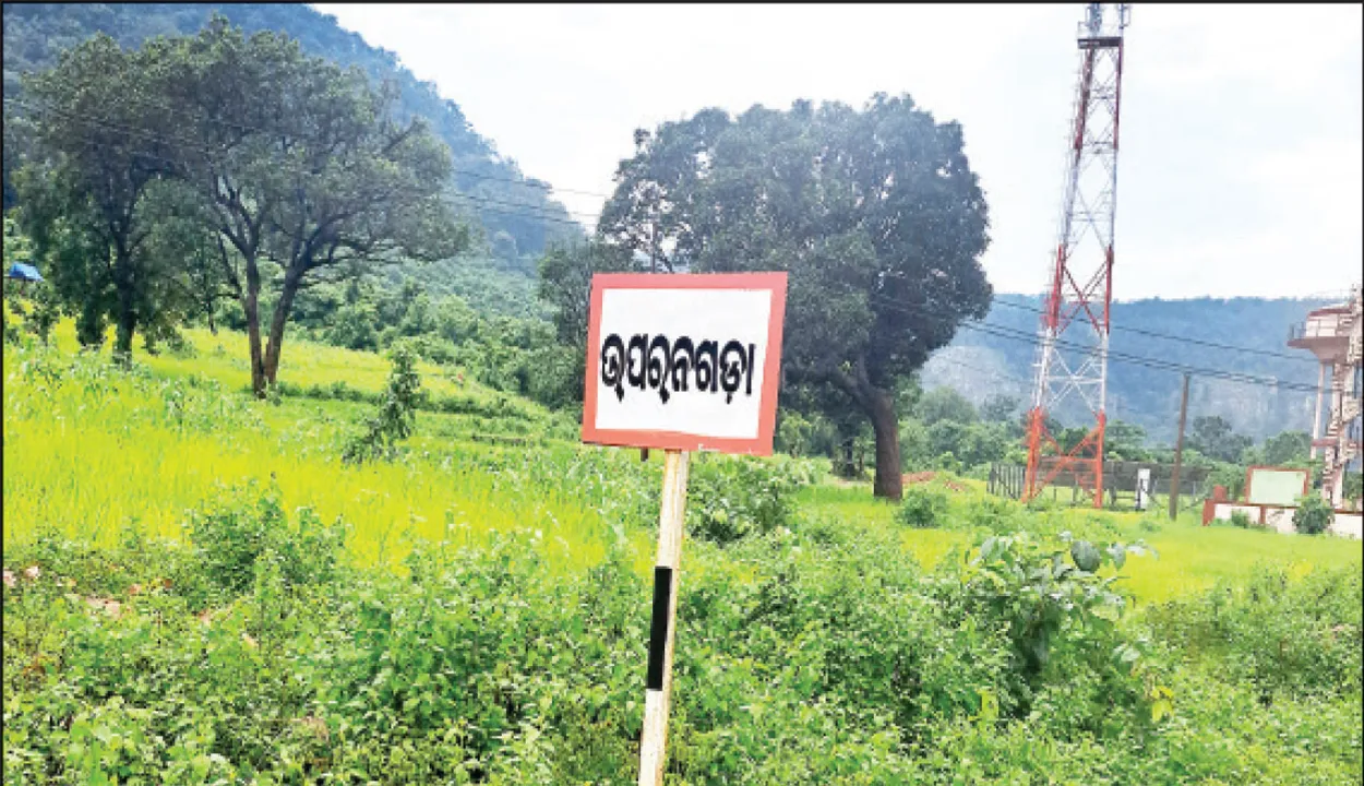  ଗାଁ ଫଳ ବଗିଚା ଉଜାଡ଼ି ପୋଡ଼ୁଚାଷ କଲେ