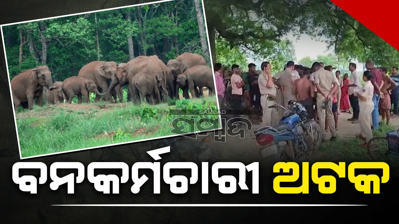  ଥମୁନି ହାତୀ ଉପଦ୍ରବ: ଗ୍ରାମବାସୀଙ୍କ ଦ୍ବାରା ବନକର୍ମଚାରୀଙ୍କ ଅଟକ