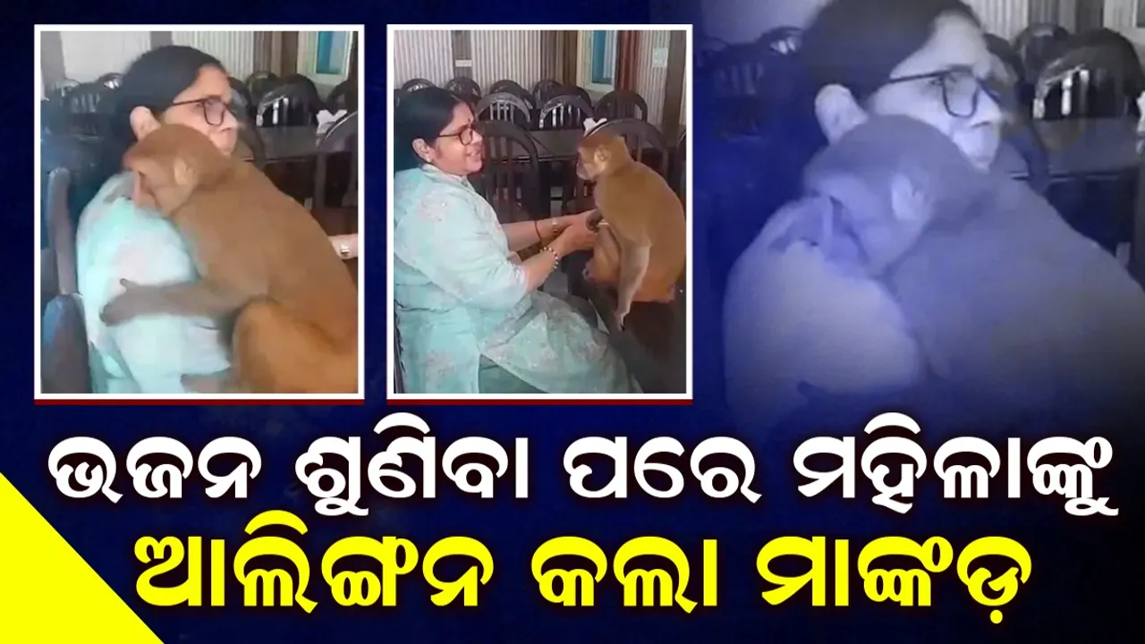  ଭଜନ ଗାଉଥିବା ‌ଶୁଣି ମହିଳାଙ୍କ କୋଳକୁ ଡେଇଁ ପଡ଼ି ଆଲିଙ୍ଗନ କଲା ମାଙ୍କଡ଼