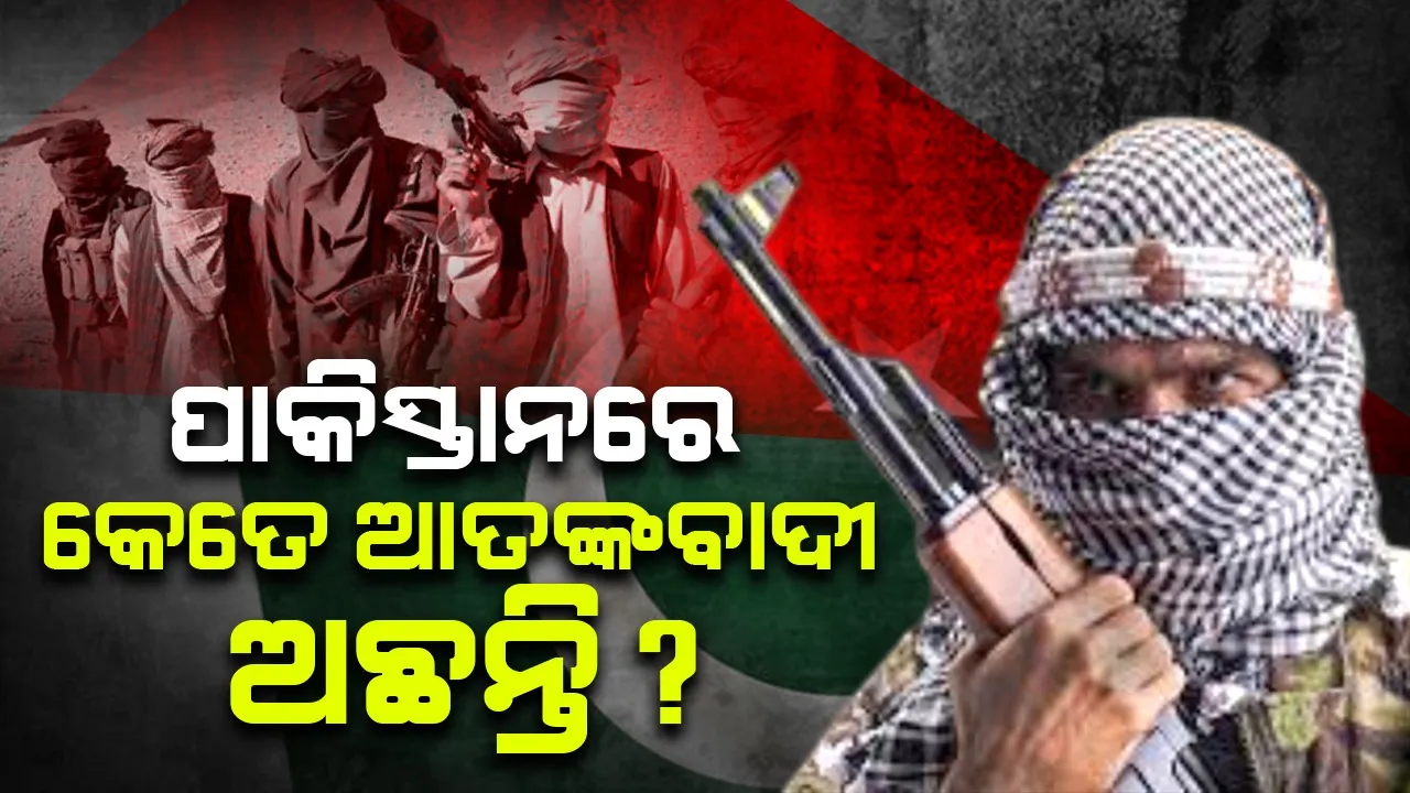  ପାକିସ୍ତାନରେ କେତେ ଆତଙ୍କବାଦୀ ଅଛନ୍ତି ?