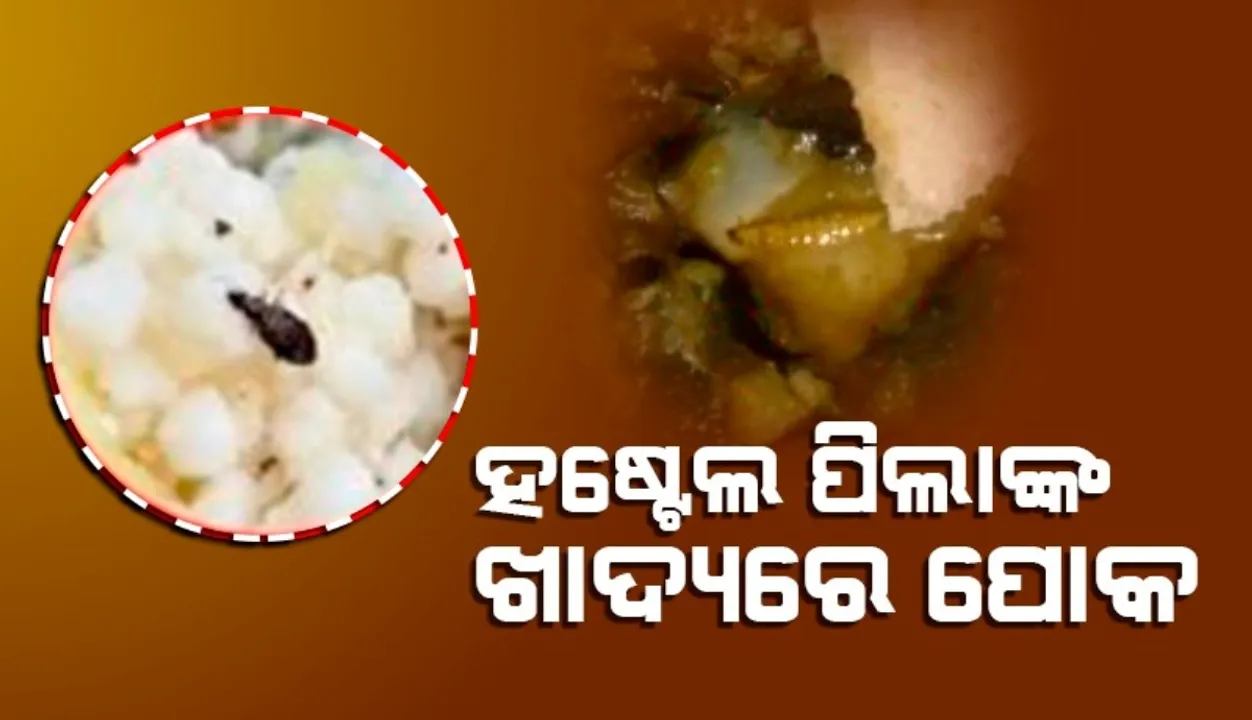  ହଷ୍ଟେଲ କ୍ୟାଣ୍ଟିନ ଖାଦ୍ୟରେ ଅସରପା ଓ ପୋକଯୁକ୍ତ ଖାଦ୍ୟ