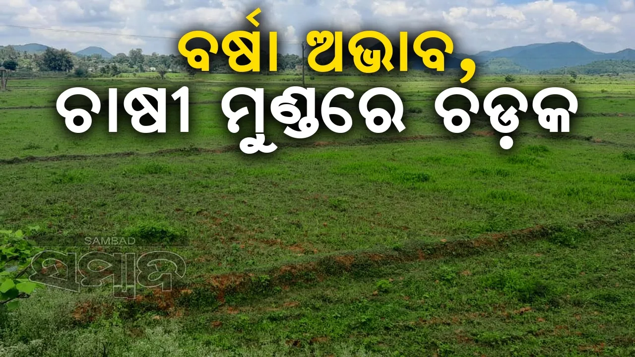  ୪୬% କମ ବୃଷ୍ଟିପାତ: କେରଳ ମୁହାଁ ହେଉଛନ୍ତି ଚାଷୀପୁଅ