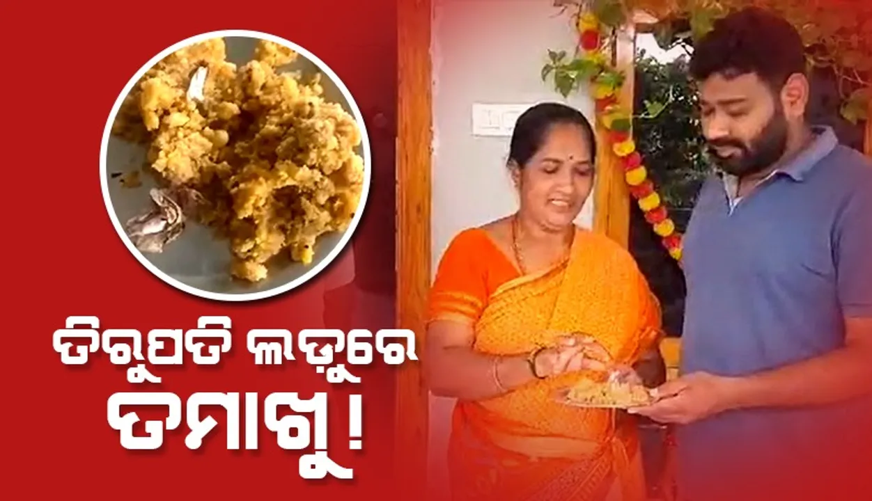  ପଶୁ ଚର୍ବି ପରେ ଏବେ ତିରୁପତି ମନ୍ଦିର ଲଡୁରେ ତମାଖୁ ମିଶିଥିବା ଅଭିଯୋଗ