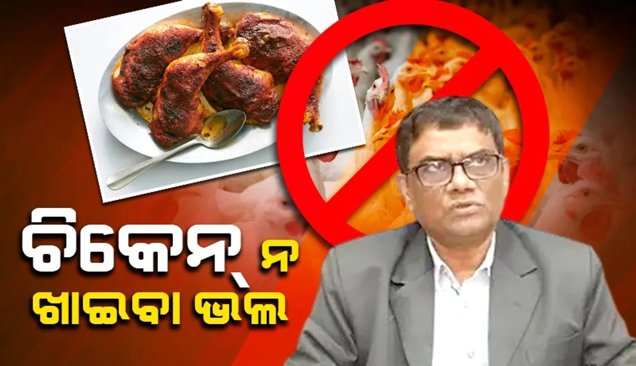  ବାର୍ଡ ଫ୍ଲୁ କୁକୁଡ଼ାର ସଂସ୍ପର୍ଶରେ ମଣିଷ ଆସିବା ଉଚିତ ନୁହେଁ