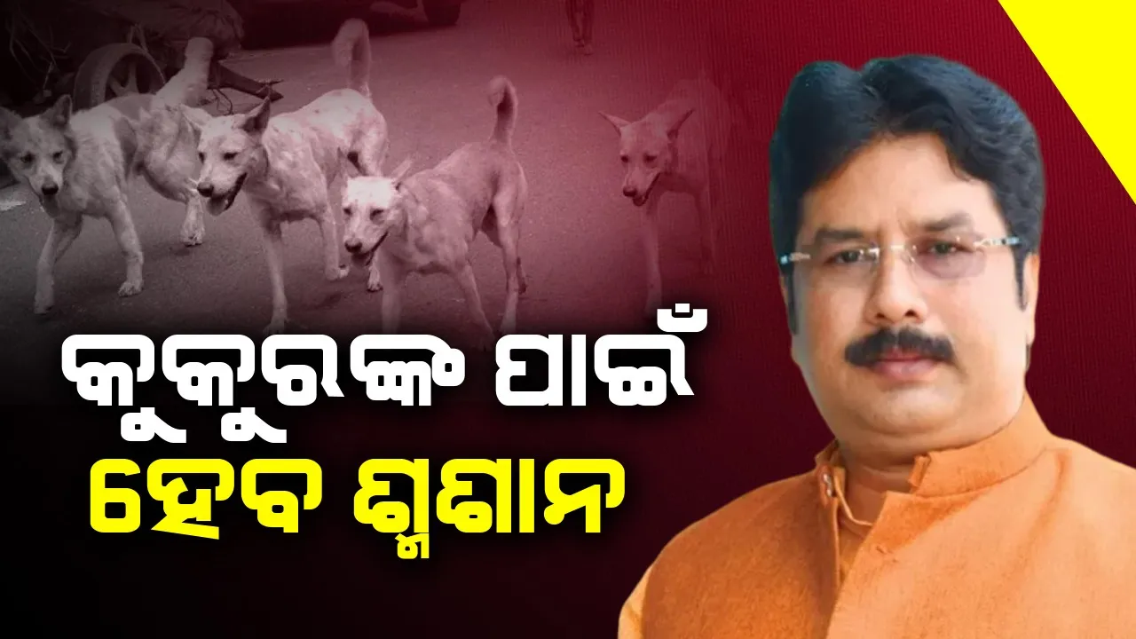  କୁକୁରଙ୍କ ପାଇଁ ଶ୍ମଶାନ କରିବେ ସରକାର