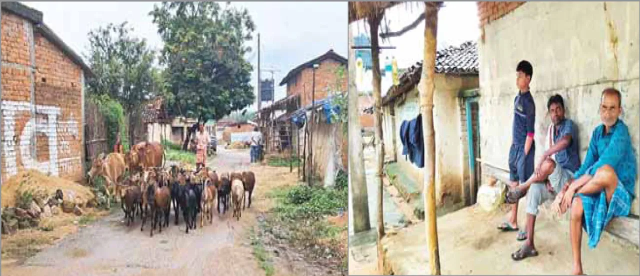 ଆମେ ଛତିଶଗଡ଼ିଆ, ଭାଷା ଆମର ଓଡ଼ିଆ; ସଙ୍କଟ ସତ୍ତ୍ବେ ବଞ୍ଚିଛି ଅସ୍ମିତା
