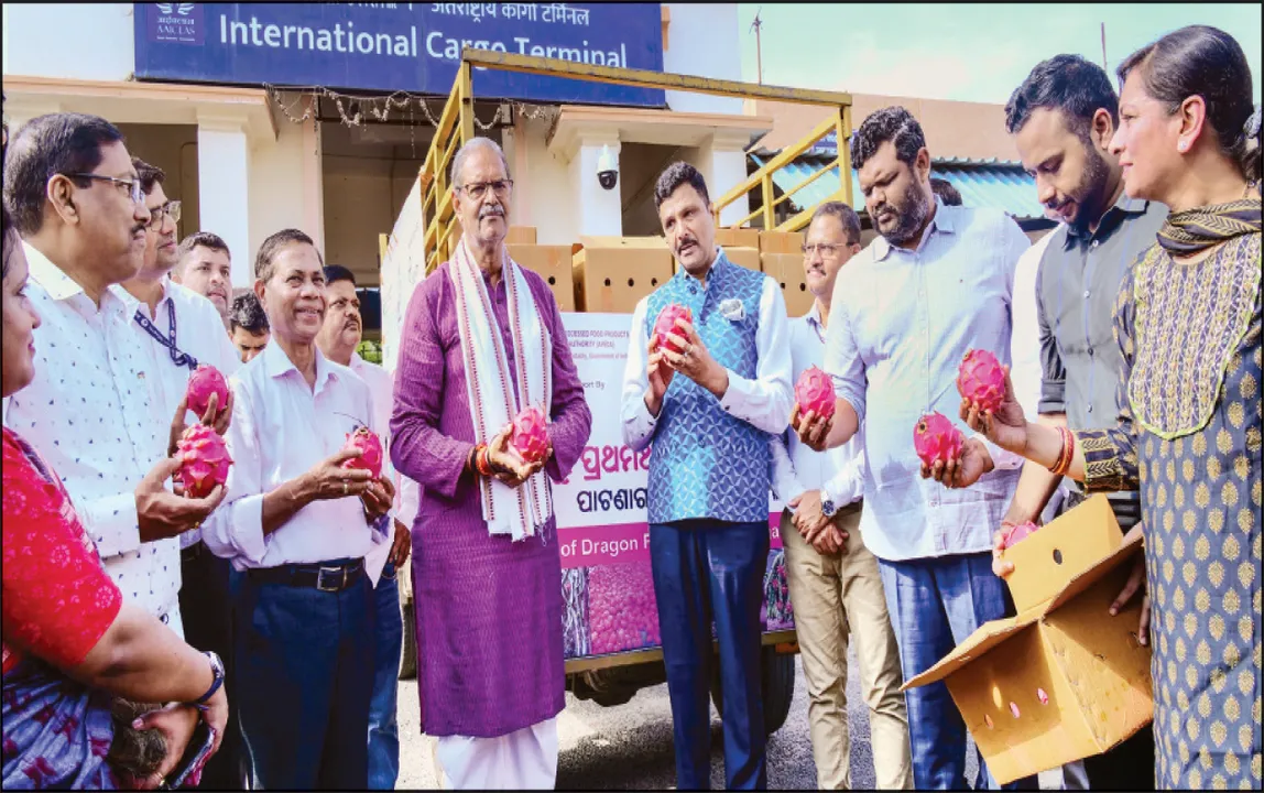  ଦୁବାଇ ଗଲା ଓଡ଼ିଶାର ଡ୍ରାଗନ୍ ଫଳ: ମାଛ ଉତ୍ପାଦନରେ ଓଡ଼ିଶା ଚତୁର୍ଥ