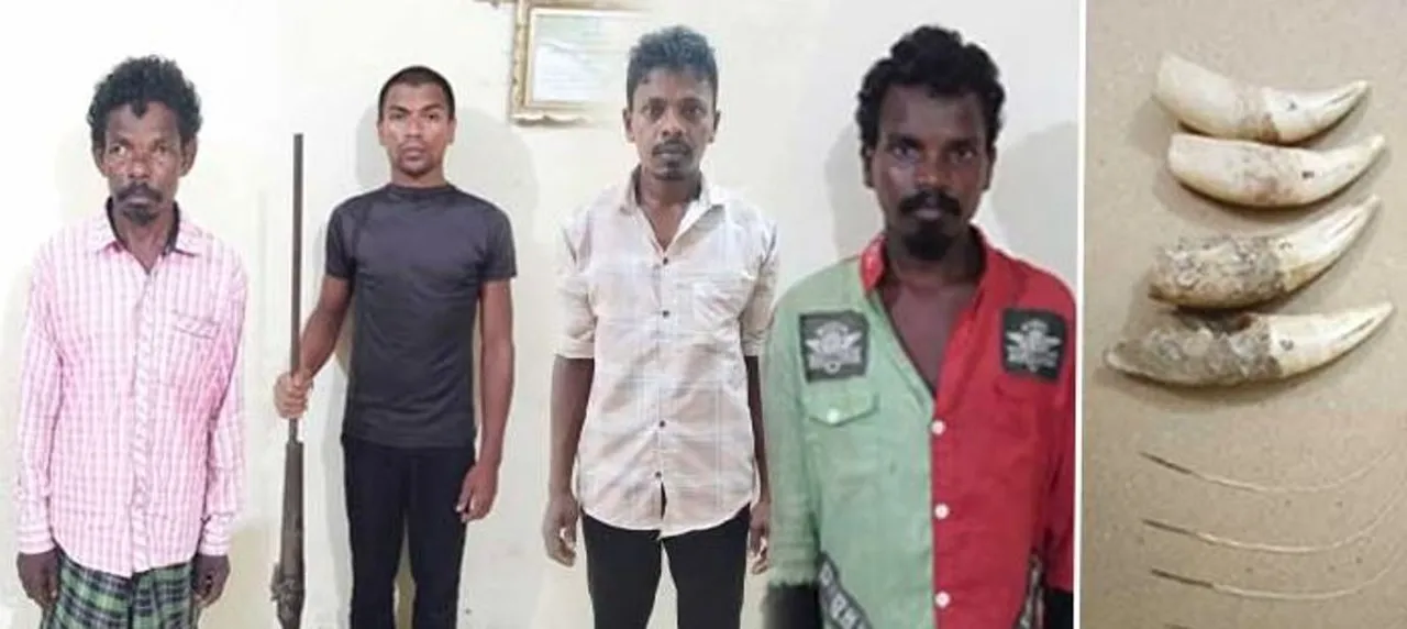  ୪ ଶିକାରୀ ଗିରଫ: ବନ୍ଧୁକ ଜବତ