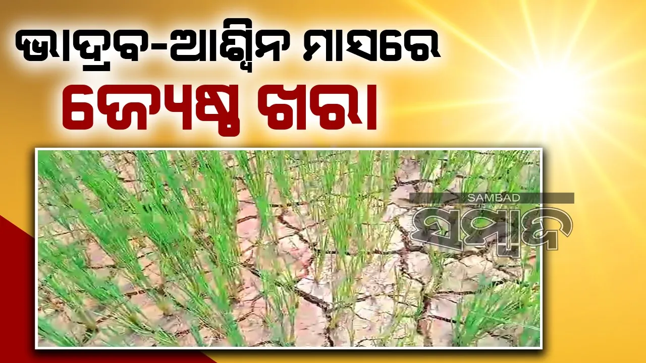  ଜଳବାୟୁ ପରିବର୍ତ୍ତନର ପ୍ରଭାବ: ଚାଷଜମି କରିଛି ଆଁ