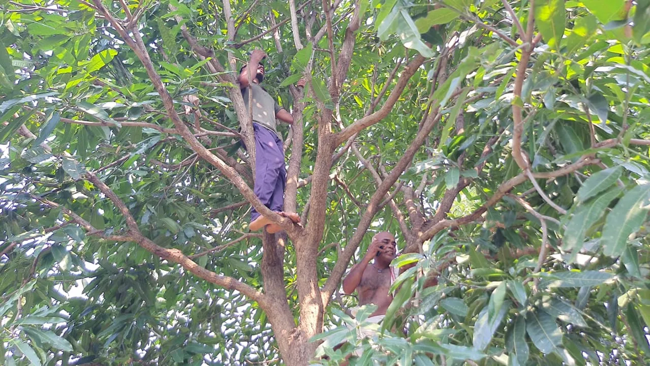  କଙ୍କଡାହାଡ଼ ବ୍ଲକର ବାମ ପଞ୍ଚାୟତବାସୀଙ୍କ ପାଇଁ  ସ୍ୱପ୍ନ ପାଲଟିଛି ମୋବାଇଲ ସେବା