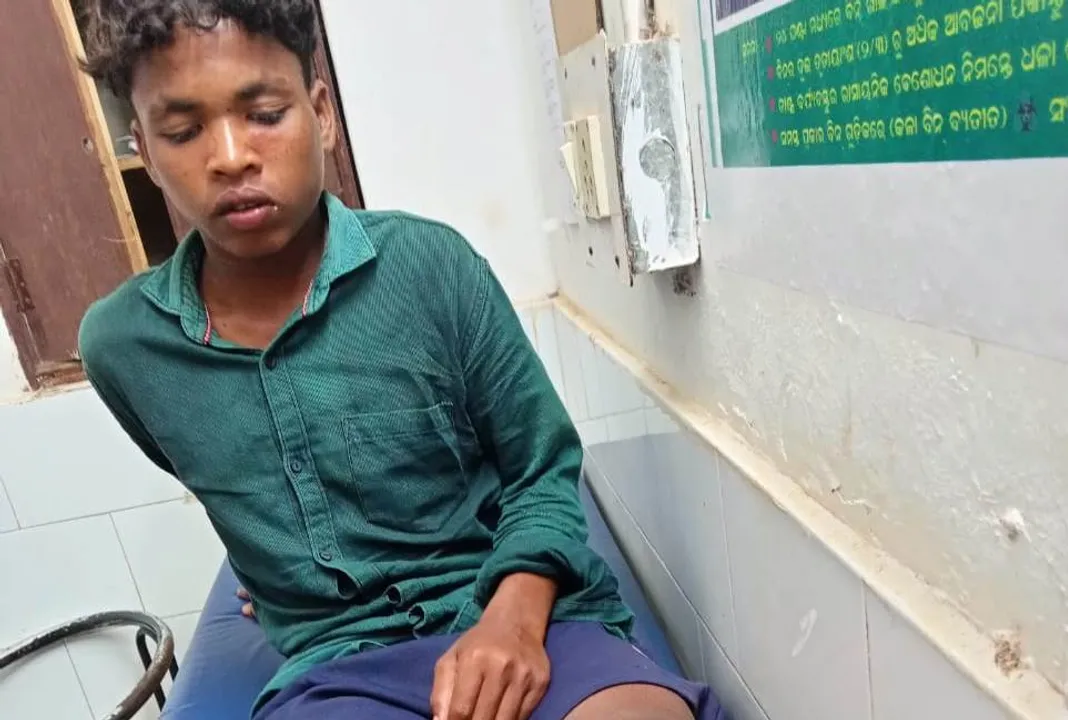  ଭାଲୁ ଆକ୍ରମଣରେ ଯୁବକ ଗୁରୁତର