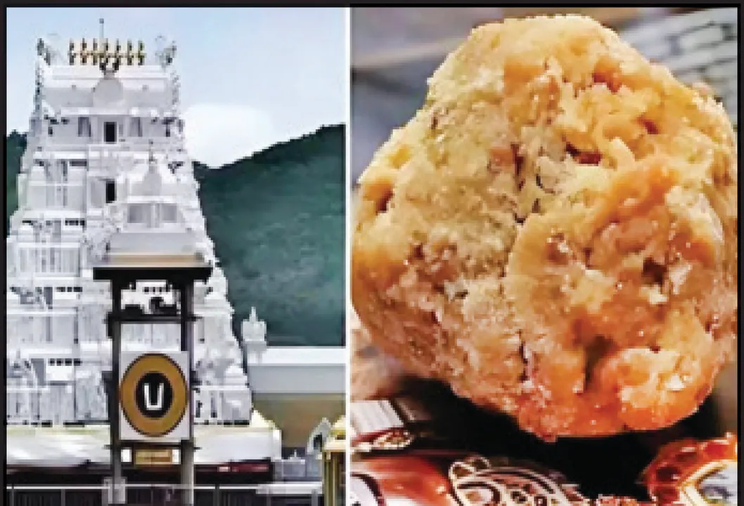  ଏଫ୍‌ଏସ୍‌ଏସ୍‌ଏଆଇର ରିପୋର୍ଟ ପରେ ପଦକ୍ଷେପ ନେବ ଖାଉଟି ମନ୍ତ୍ରଣାଳୟ