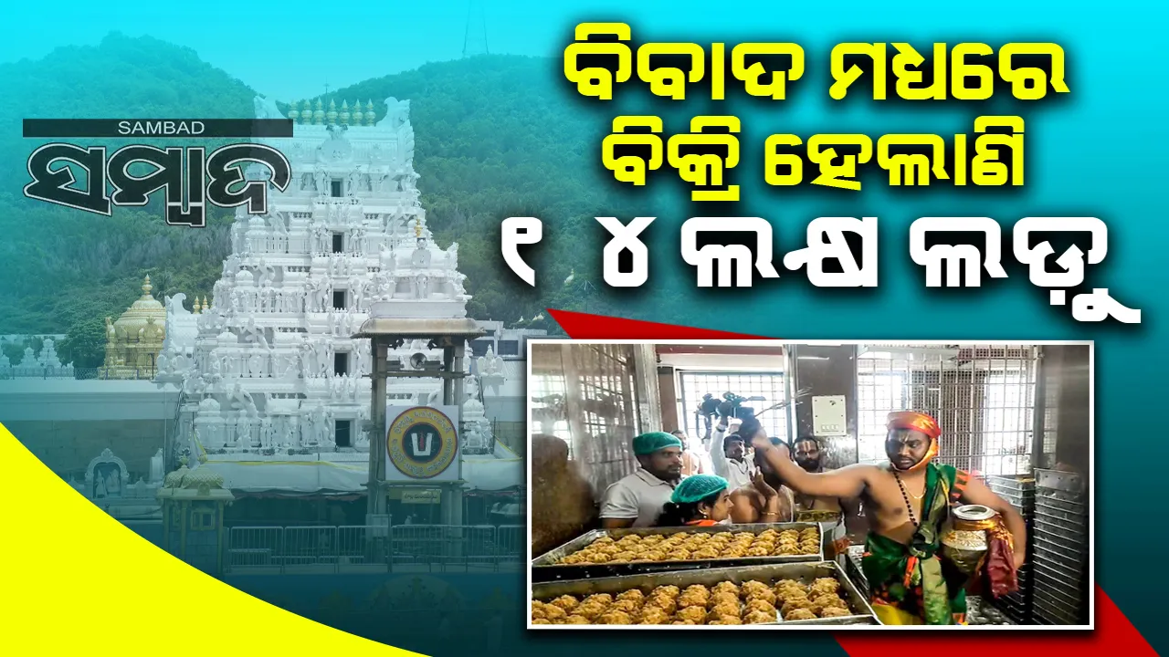  ତିରୁପତି ଲଡୁ ବିବାଦ: ୪ଦିନରେ ବିକ୍ରି ହେଲାଣି ୧୪ଲକ୍ଷ ଲଡ଼ୁ