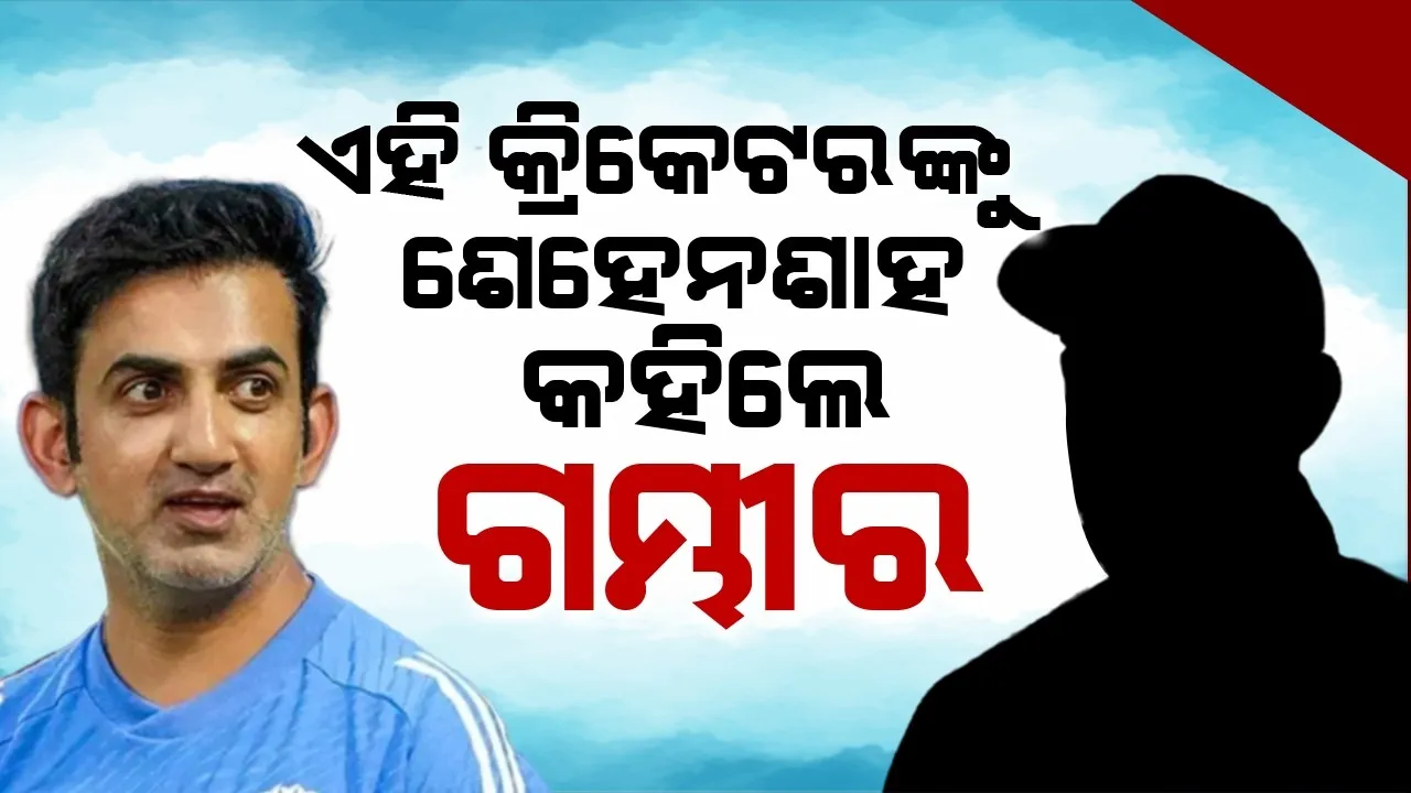  ଏହି କ୍ରିକେଟରଙ୍କୁ ଭାରତୀୟ କ୍ରିକେଟର ଶେହେନଶାହ କହିଲେ ଗମ୍ଭୀର