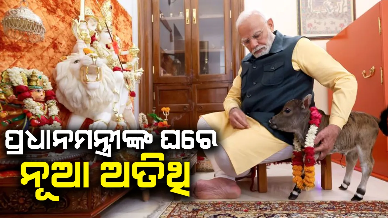  ମୋଦୀଙ୍କ ପରିବାରରେ ନୂଆ ସଦସ୍ୟ: ଭିଡ଼ିଓ ଭାଇରାଲ...