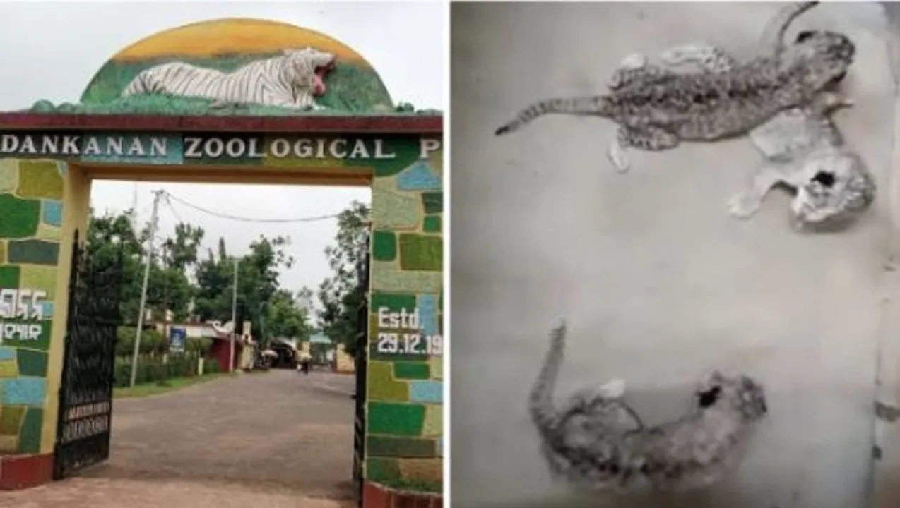  ନନ୍ଦନକାନନରେ ନୂଆ ଅତିଥି