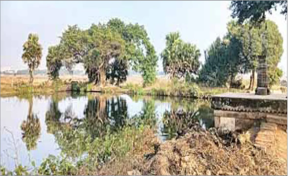  ପୋଖରୀ ଉନ୍ନତୀକରଣ ଫଳକରେ