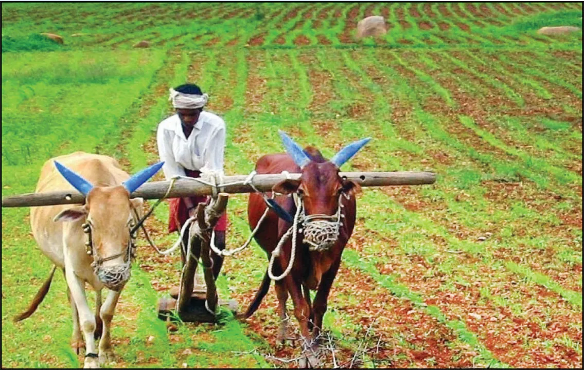  ନିର୍ବାଚନ ପାଇଁ ଅଭିବୃଦ୍ଧି କମିଲା: ୧୫ ମାସରେ ସର୍ବନିମ୍ନ