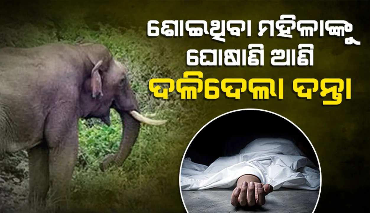 ପୁଣି ଏକ ଜୀବନ ନେଲା ଦନ୍ତା: ଶୋଇଥିବା ମହିଳାଙ୍କୁ ଘୋଷାଡ଼ି ଆଣି ଦଳିଦେଲା