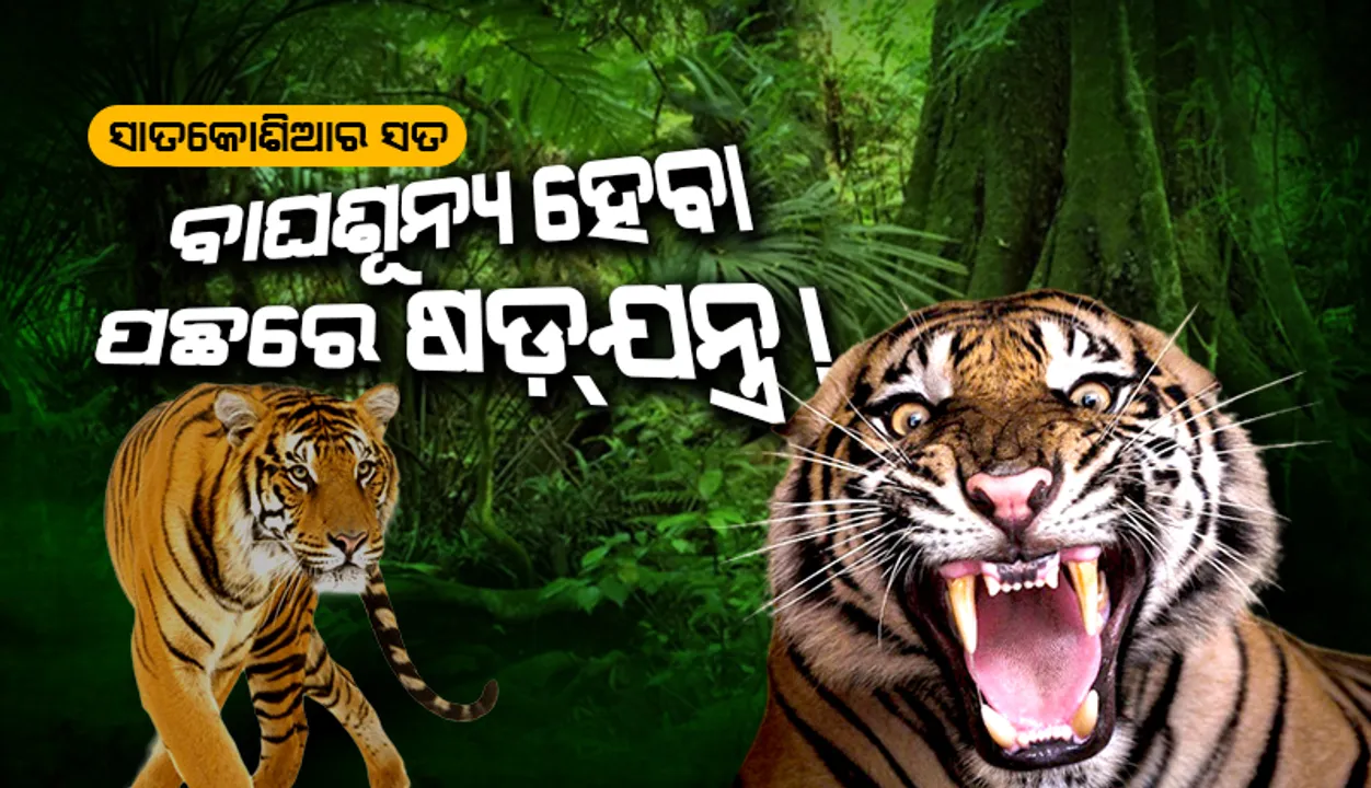  ସାତକୋଶିଆର ସତ: ବାଘଶୂନ୍ୟ ହେବା ପଛରେ ଷଡ଼୍‌ଯନ୍ତ୍ର!