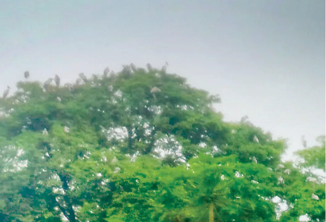  ‘ଗେଣ୍ଡାଳିଆ’ ସୁରକ୍ଷାରେ ଗ୍ରାମବାସୀ