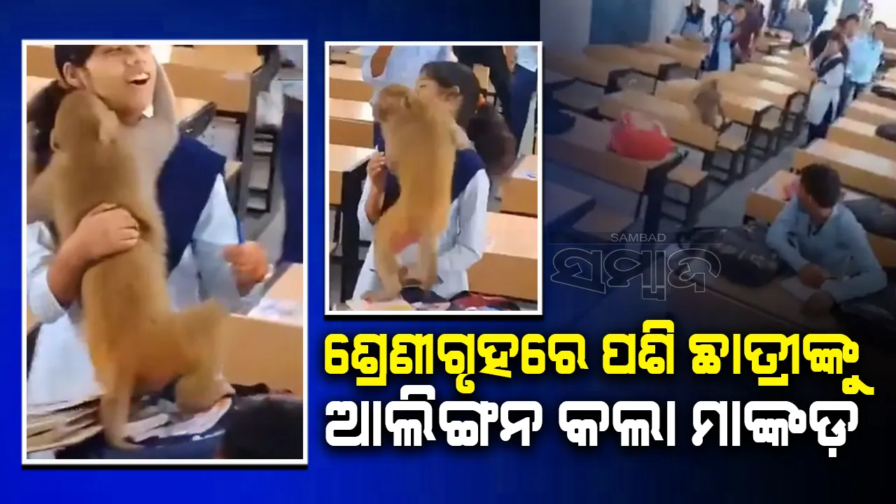  ଶ୍ରେଣୀଗୃହ ଭିତରକୁ ପଶି ଆସି ଛାତ୍ରୀଙ୍କୁ ଆଲିଙ୍ଗନ କଲା ମାଙ୍କଡ଼