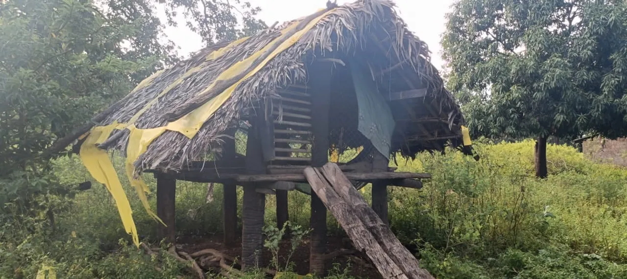  ଗୋଟିଏ ସ୍ଥାନରେ ଘୁଷୁରୀ ଓ ମଣିଷର ବାସସ୍ଥାନ