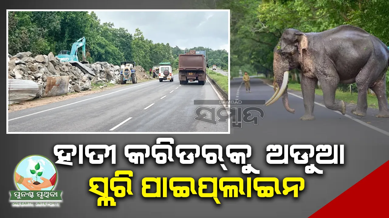  ହାତୀ କରିଡର୍‌କୁ ଅଡ଼ୁଆ ସ୍ଲରି ପାଇପ୍‌ଲାଇନ୍‌